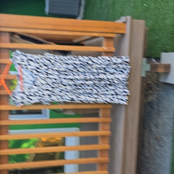 Daisy dress from torrid - Picture 2 of 2